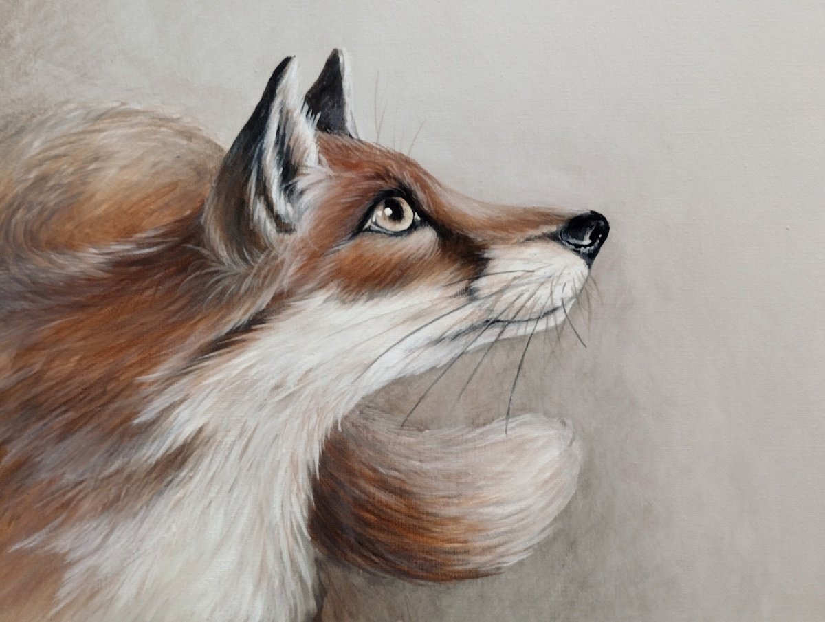 Red Fox by Sara Westaway