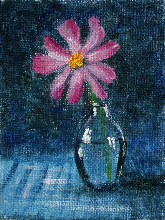 Cosmea