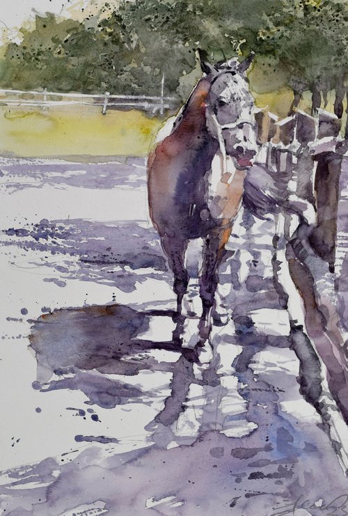 Horse in the yard  1 by Goran Žigolić Watercolors