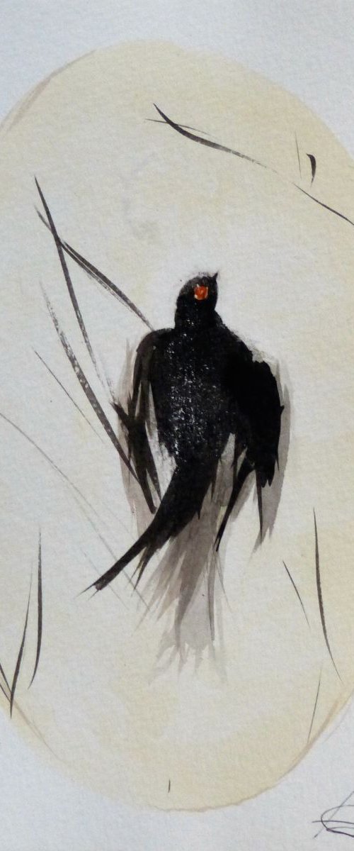 Birds of Carros #11, 15x21 cm by Frederic Belaubre