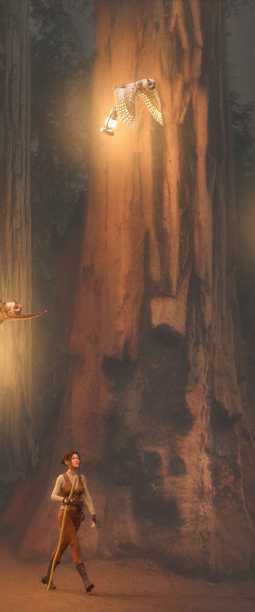 Redwood Adventure I by Tony Fowler