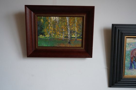 Birch trees at sunset in September