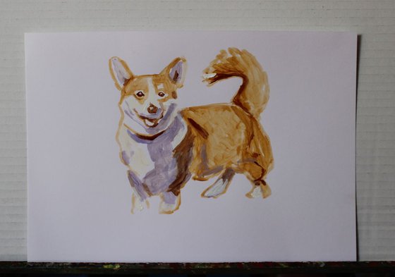 Corgi