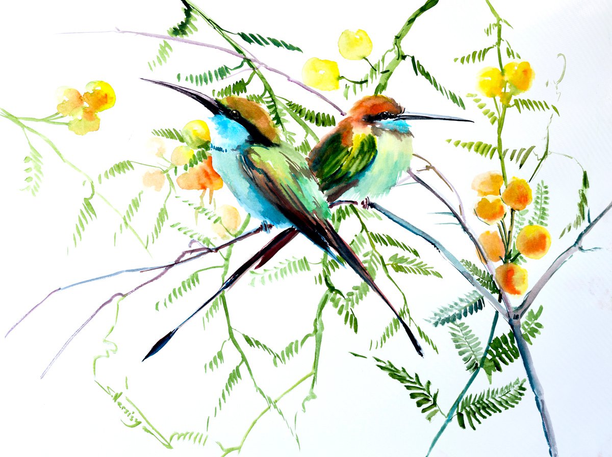 Green Bee Eater and Acacia Tree by Suren Nersisyan