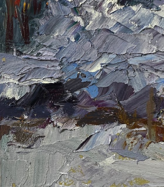 The Forest was Covered with Snow