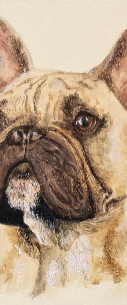 French Bulldog by Laurence Wheeler