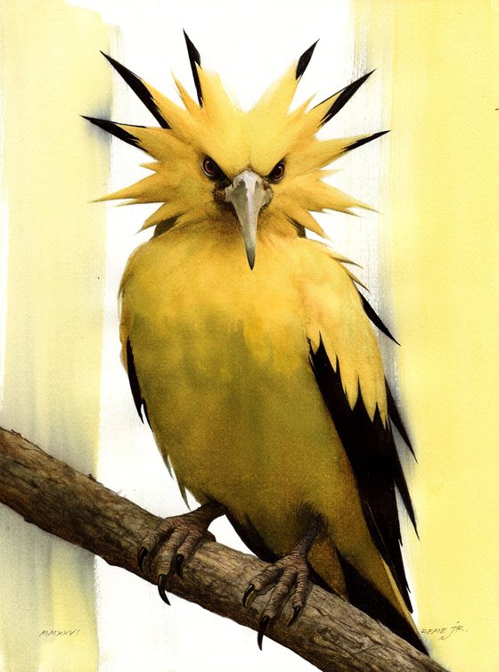 BIRD CCXXXVI - Golden Parakeet