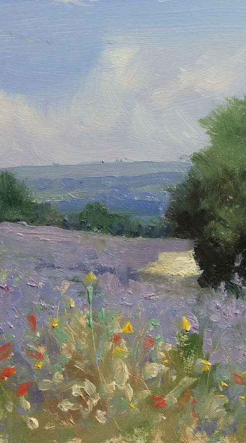 Lavencder Fields by Pascal Giroud