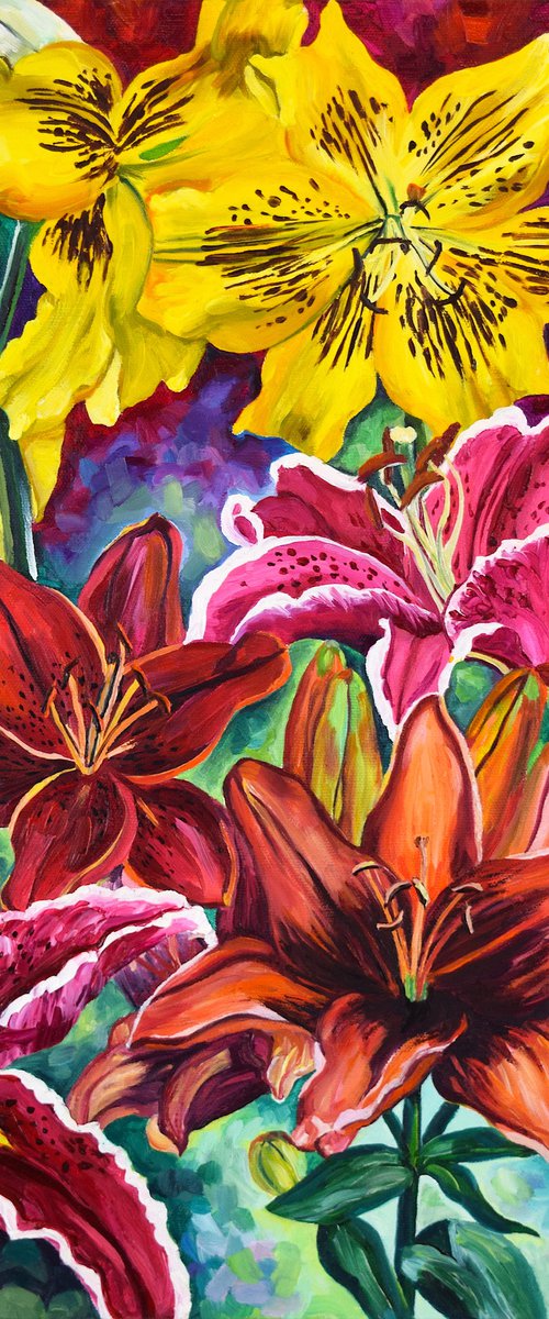 Lily Confluence by Christina M Plichta
