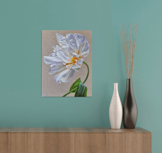 White tulip