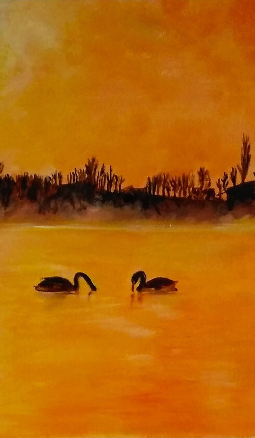 Swans at sunset -birds - sunset by Isabelle Lucas