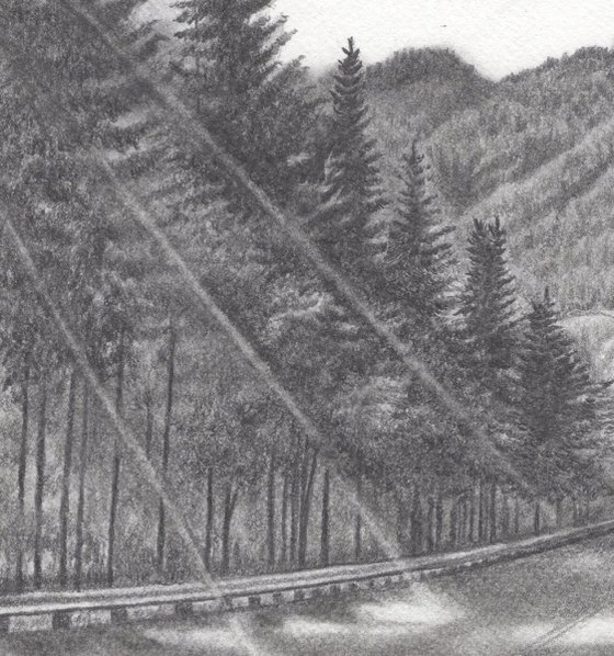 Road to Mount Rainier II