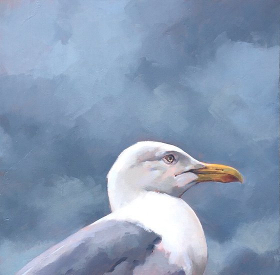 Gull and Grey Sky