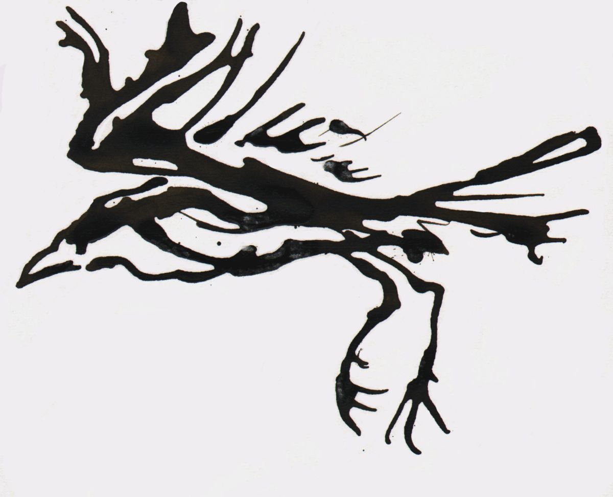 Illustrative Animal Ink Drawing By John Sharp, 9 X 8, Raven In Flight, Original Artwork