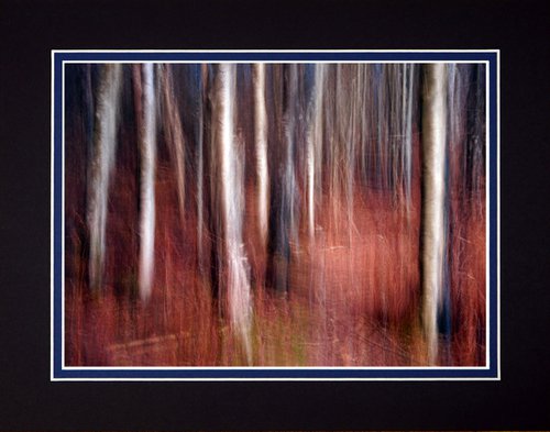 Deep in the Forest two with ICM Photography by Robin Clarke