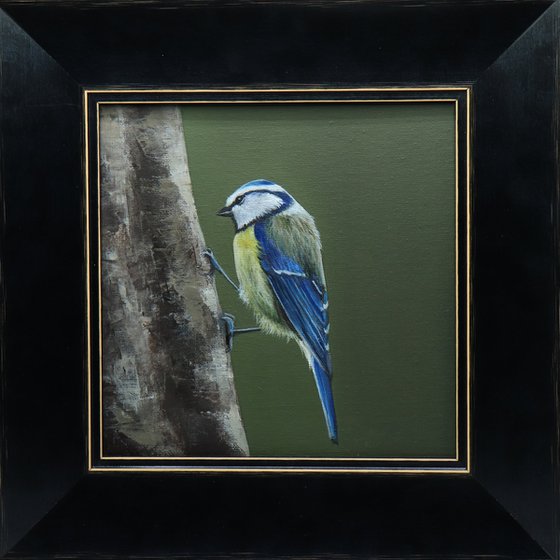 Blue Tit Clinging to Tree, Bird Artwork, Framed Art, Garden Animals