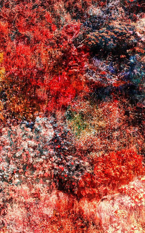 Wall of Nature LX (Framed) by Viet Ha Tran