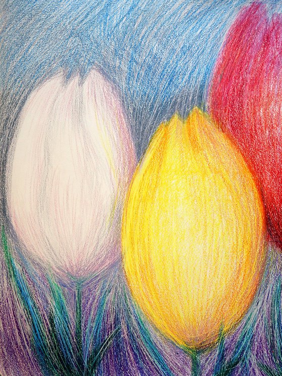 Tulips White 2