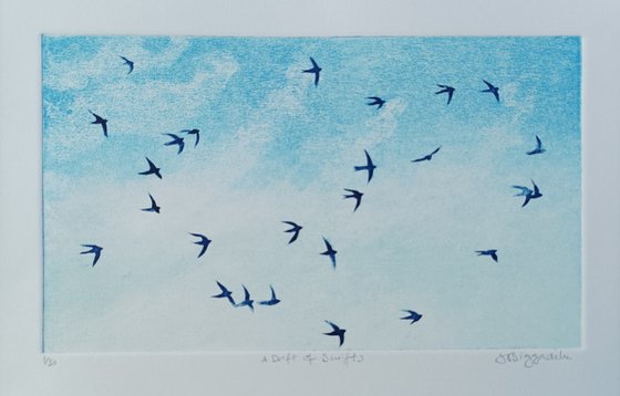 A Drift of Swifts