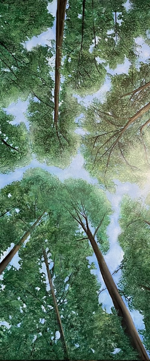 Heaven's Eye by Victoria Obolensky