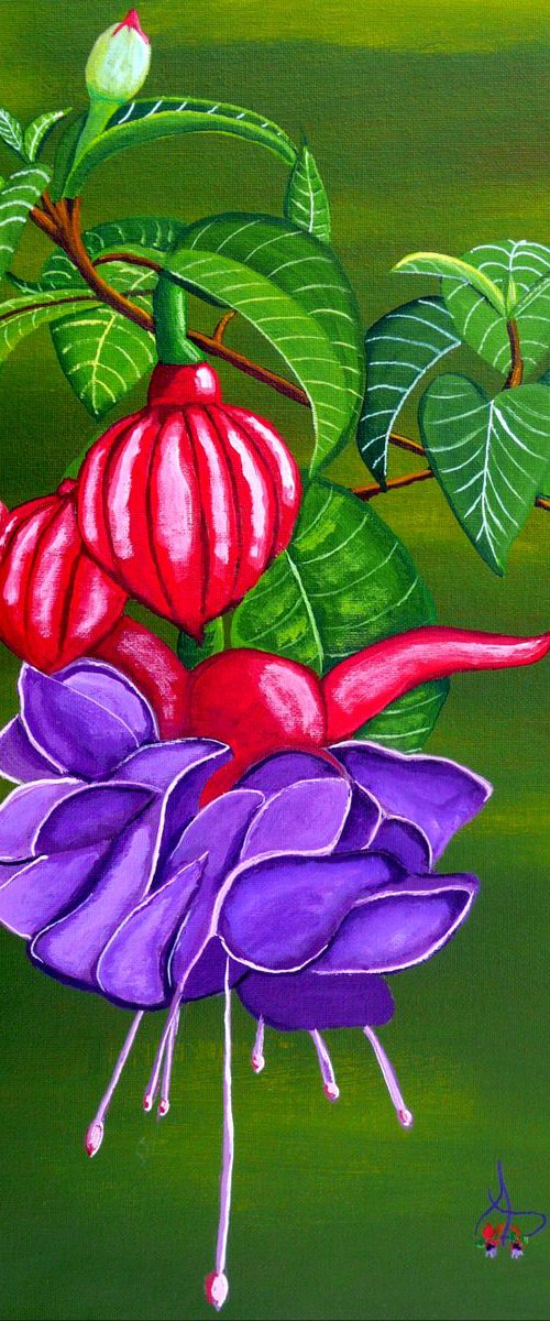 Fuchsia Purple by Dunphy Fine Art