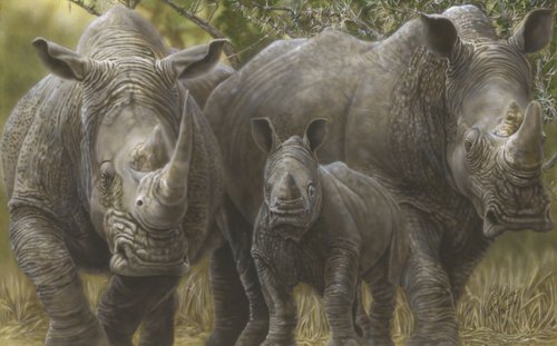 White Rhino Family by Wayne Pruse