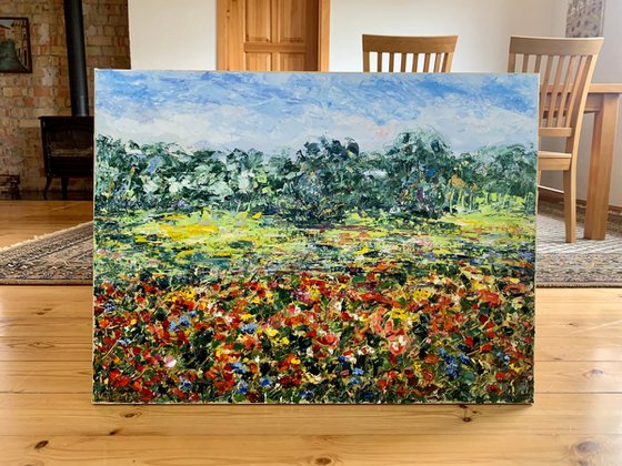 Poppy field