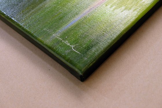 Forest in the morning