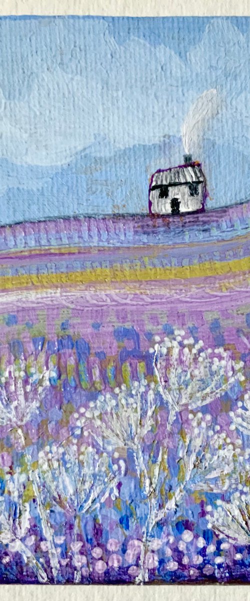 Lilac Fields 10x10cm small acrylic landscape canvas board painting by Janice MacDougall