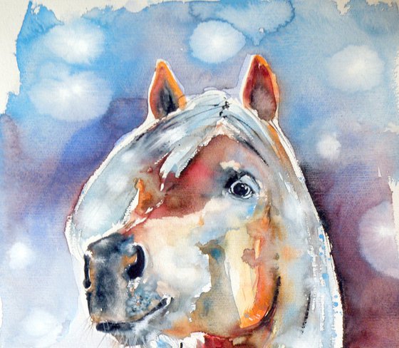 Horse portrait