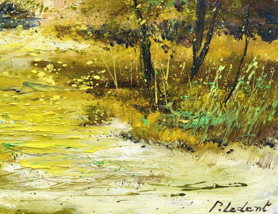 Marshes 54