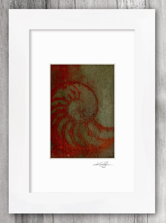 Nautilus Shell Collection 4