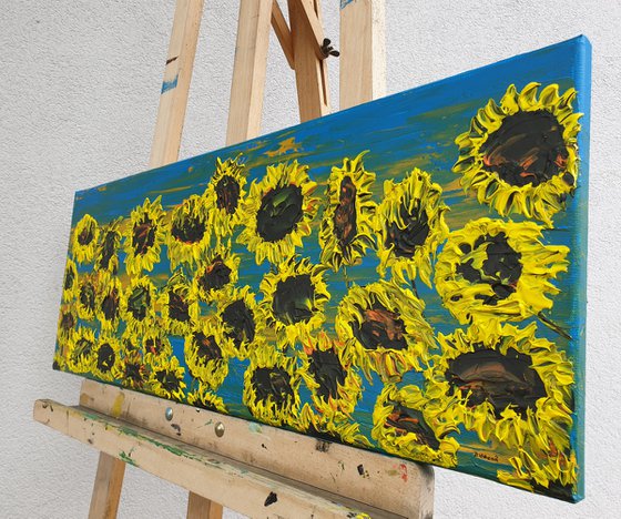 Blooming sunflowers 2