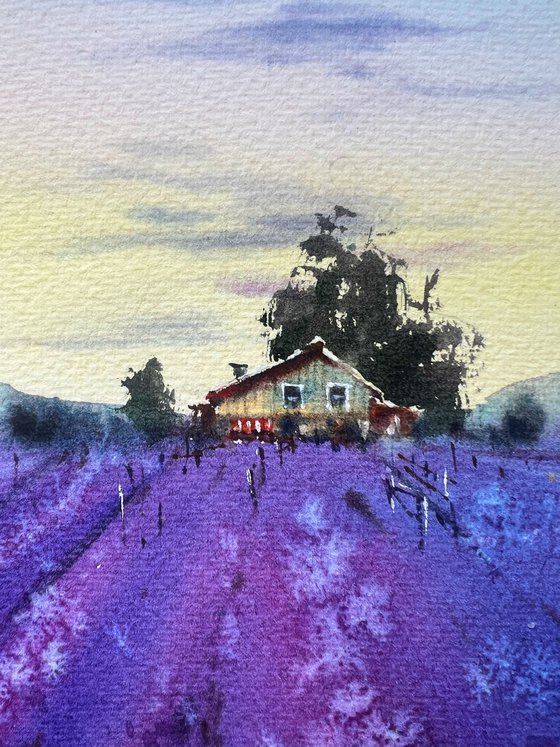 Lavender sunset #2