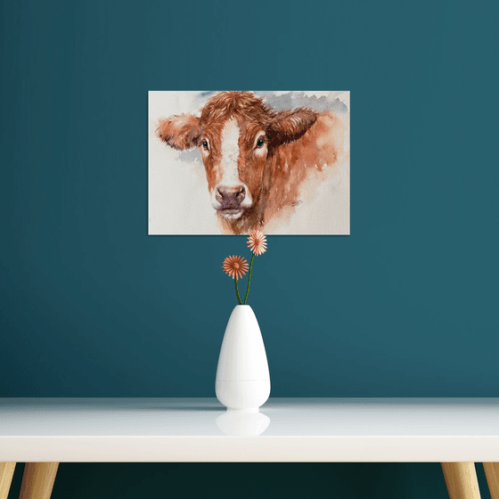 Brown Cow_ Midsummer Gaze