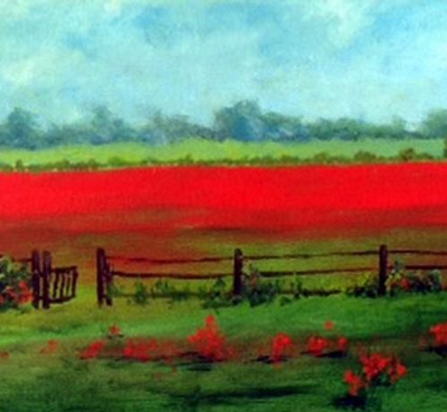 POPPYFIELD by BARBARA  HARLOW