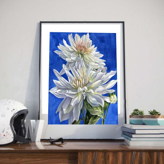 white dahlia in blue