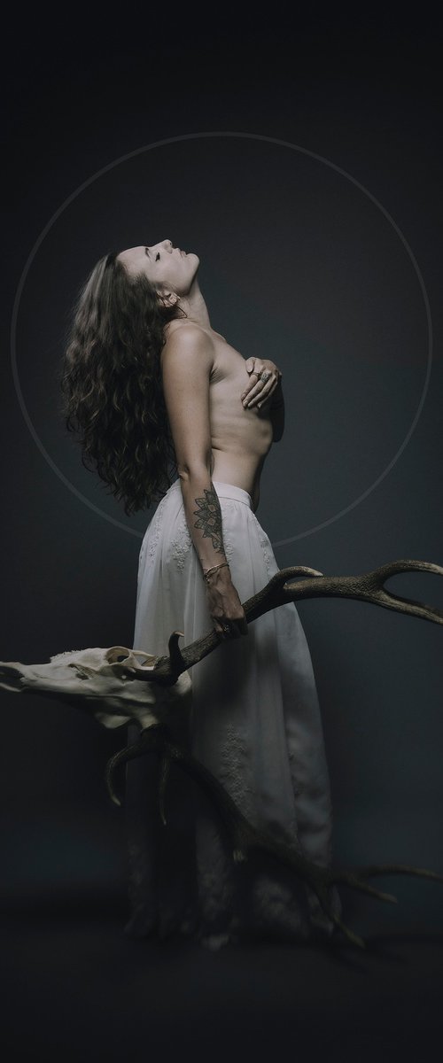 The Soul IV by Cédric Brion