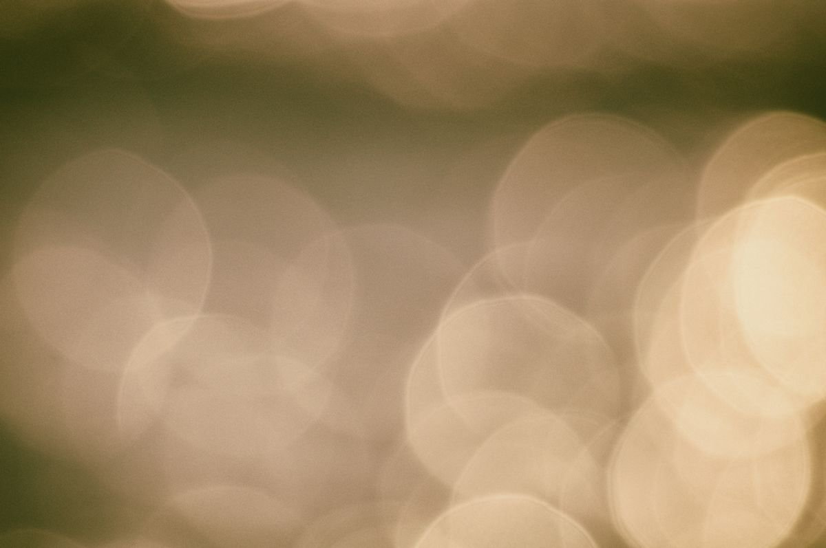 Organic Abstract Photograph By Marc Ehrenbold, 40 X 30", Soft, Original Artwork