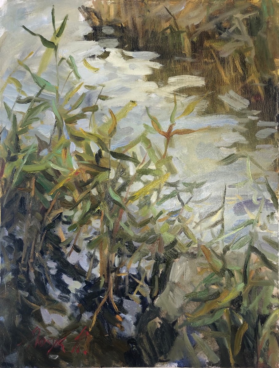 The SEDGE ON RIVER. Pond light oil painting river by Nataliia Nosyk