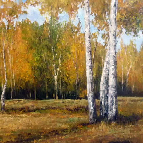 Birch Trees in Early Autumn