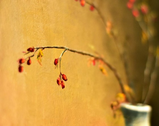 Branches, Plums, and Silence
