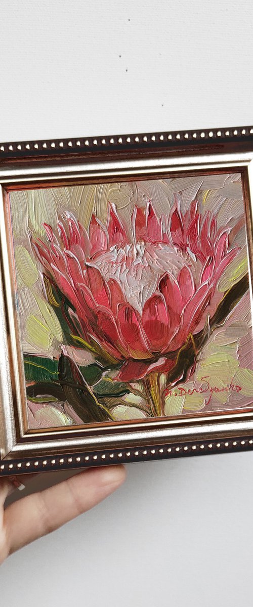Pink protea by Nataly Derevyanko