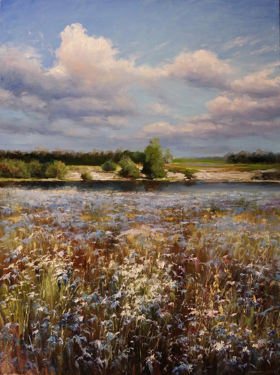 "Song of the Ukrainian Field"