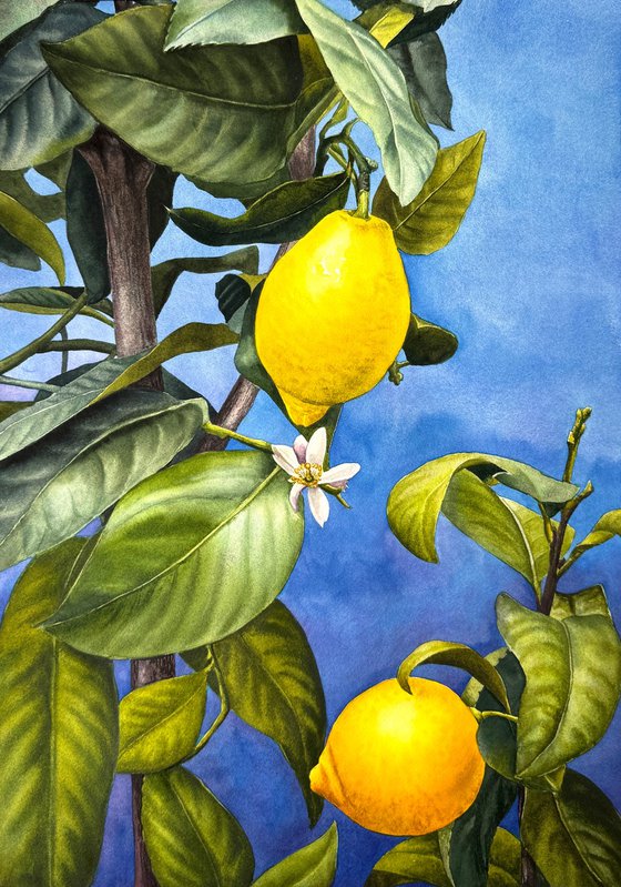 Sunny Lemons
