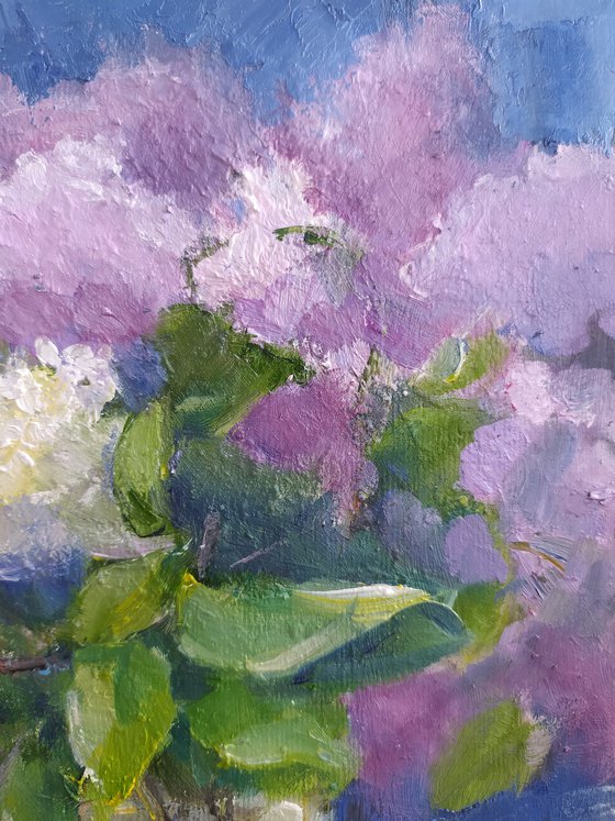 Lilac