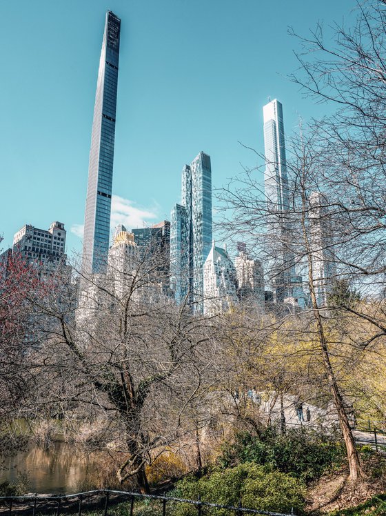 THE JUNGLE IN MANHATTAN