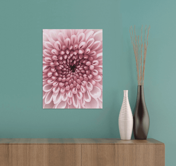 PINK VORTEX OF BLOOM