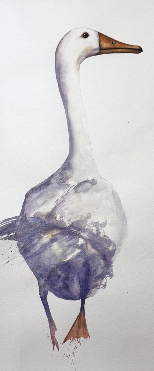 White long neck Curious duck by Yuliia Sharapova