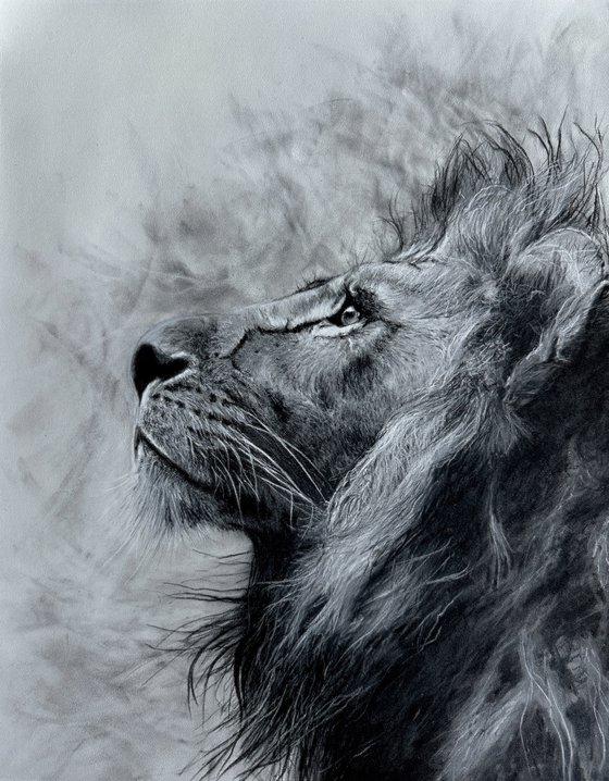 A Dreamer, original Lion